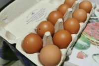 Путин извинился перед россиянами за повышение цен на яйца