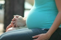 Депутат Занко предложила создать на «Госуслугах» раздел для беременных