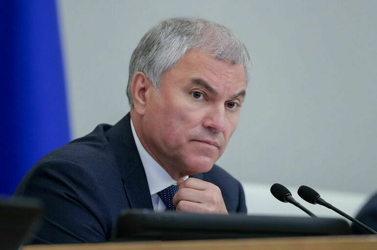 Володин: Доля валют недружественных стран в зарубежных расчетах РФ снизилась до 24%