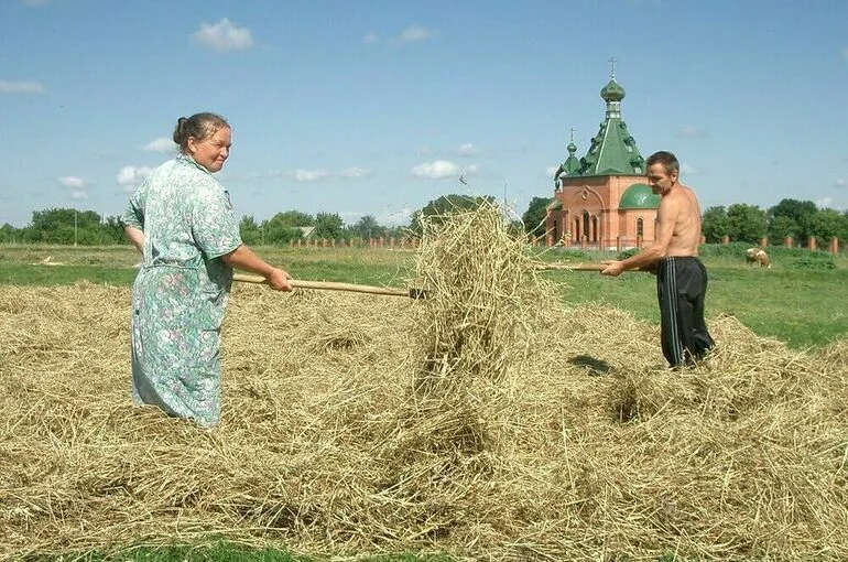 Для комплексного развития сельских территорий предложили создать нацпроект