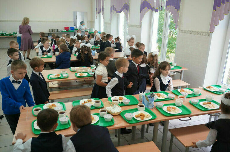 Парламентарии просят ужесточить требования к закупкам питания в школы