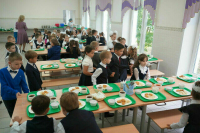 Парламентарии просят ужесточить требования к закупкам питания в школы