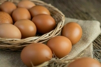 Первые 36 тонн яиц из Азербайджана ввезли в Россию