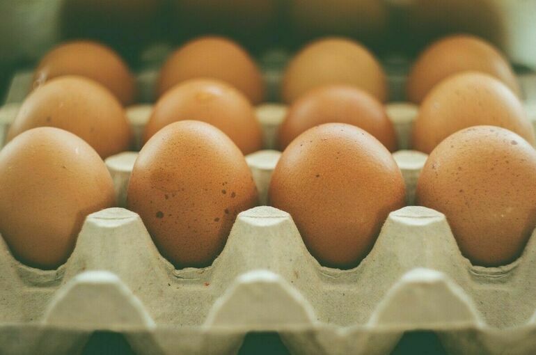 В Минсельхозе назвали факторы снижения цен на яйца после Нового года