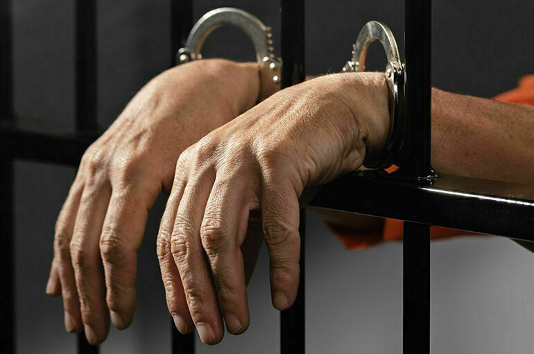 В Петербург доставили организовавшего нападения на прохожих блогера