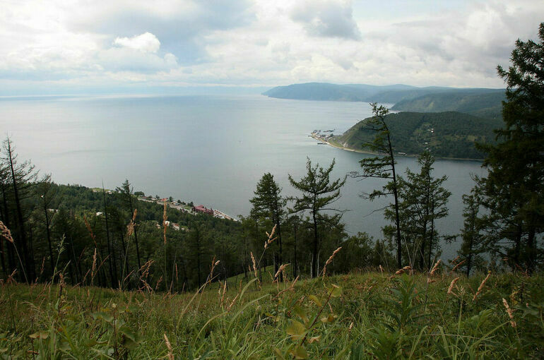 Единое экологическое пространство построят на 10 цифровых системах