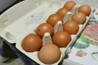 ФАС возбудила еще четыре дела из-за повышения цен на яйца в регионах