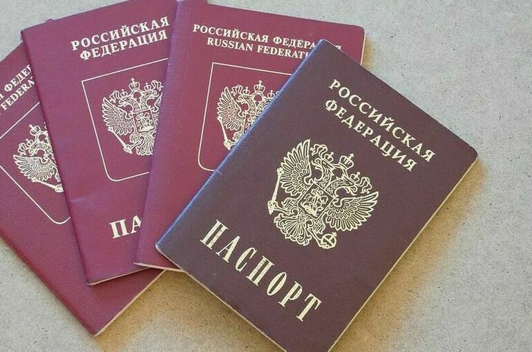 В Петербурге 9 человек лишили паспортов по новому закону о гражданстве