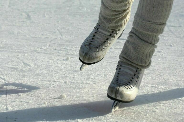 Депутат Скрозникова призвала проводить уроки физкультуры на ледовых катках