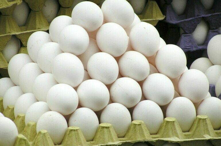 Турция поставила в Россию вторую партию из 316,8 тысячи яиц