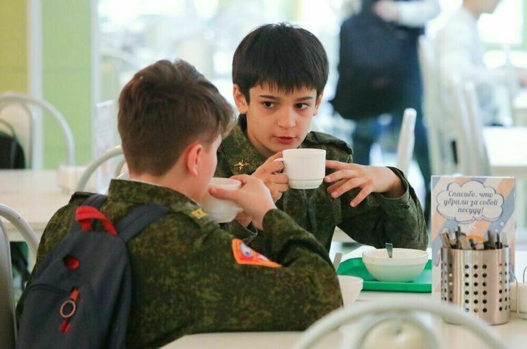 Депутат Чаплин предложил делать детское меню дешевле взрослого