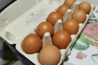 В Минсельхозе ожидают снижения цен на яйца в ближайшее время