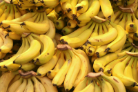 Поставки бананов и ананасов из Эквадора в Россию не осложнились