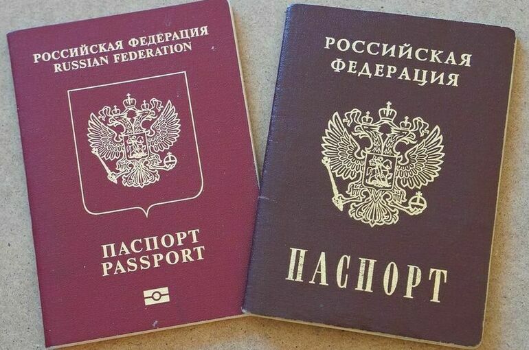 В Челябинской области 3 мигрантов лишили гражданства РФ за наркопреступления