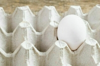 Поставщиков яиц хотят проверить на избыточную жадность