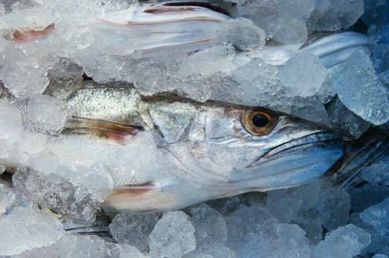 Комиссия кабмина поддержала законопроект о вычете за переработку рыбы