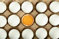 В Минсельхозе прогнозируют дальнейшее снижение цен на куриные яйца