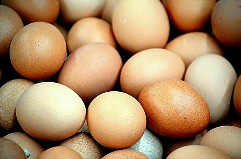 Турция поставила России очередную партию яиц на 633 тысячи штук