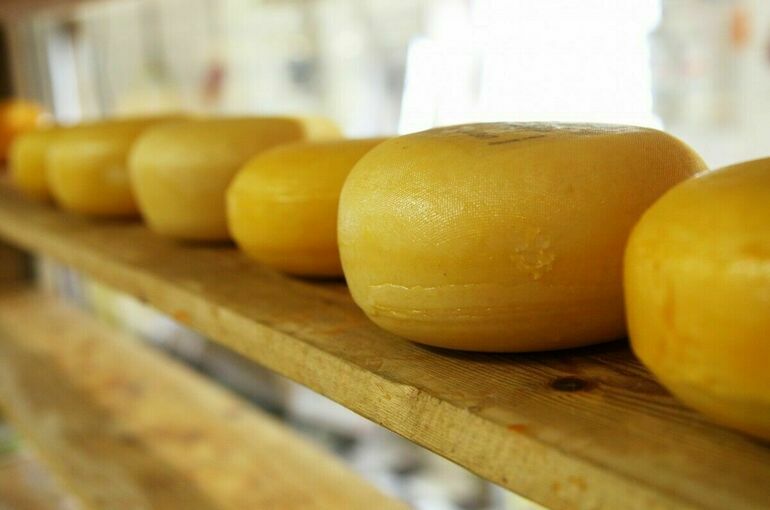 В Минсельхозе ожидают стабильности на рынке сыров в 2024 году