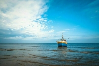 В Госдуму внесли законопроект о запрете Великобритании ловить рыбу в Баренцевом море