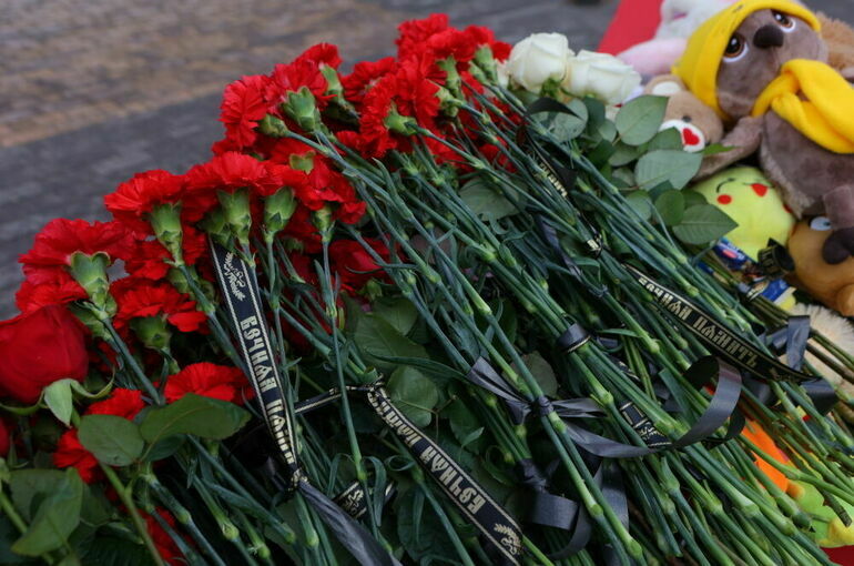 Парламентская комиссия отразит в докладе трагедии в Белгороде и Донецке