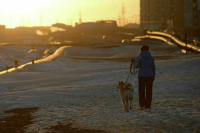 В городах российской Арктики хотят поставить теплые остановки