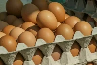 В Россию ввезли очередную партию в 316,8 тыс. яиц из Турции