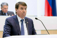 Цеков назвал закон против дискредитации ВС РФ «отрезвляющим»