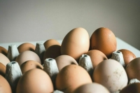 В Россию ввезли уже 2,2 миллиона яиц из Турции