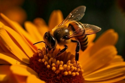 Зачем трудолюбивым пчелам нужны бездельники