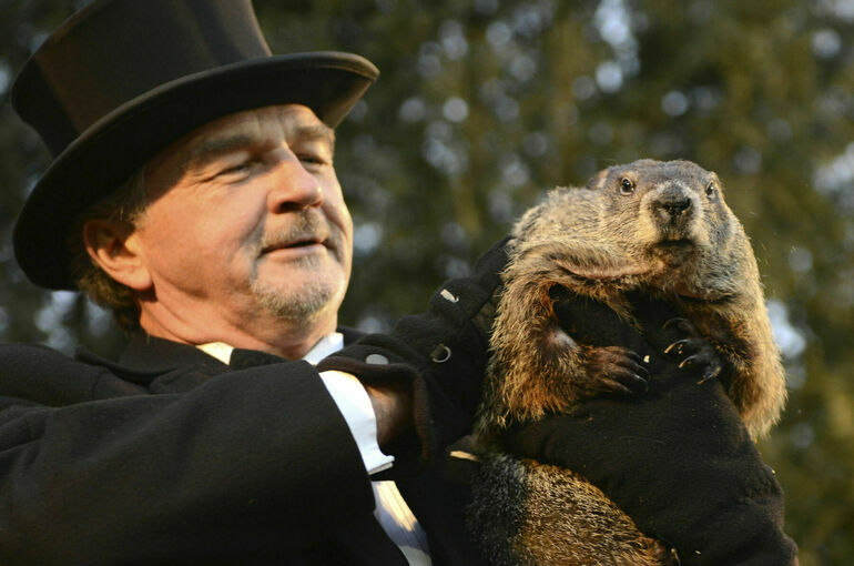 Сурок Фил поделился прогнозом на весну