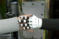 Путин поручил поддержать спрос на отечественные робототехнические решения