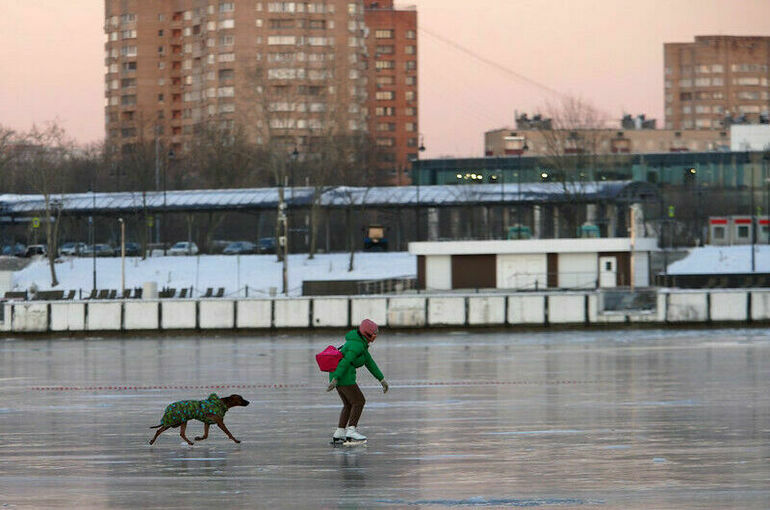 В Москве продлили &laquo;желтый&raquo; уровень погодной опасности до вечера 6 февраля