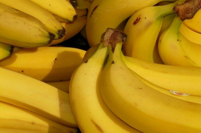 В Россию привезут бананы из Индии