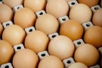 Куриные яйца в России дешевеют четвертую неделю подряд