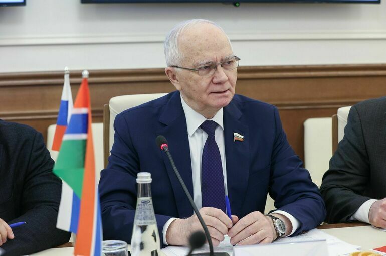 Сенатор Мухаметшин заявил о перспективах укрепления сотрудничества России и Гамбии