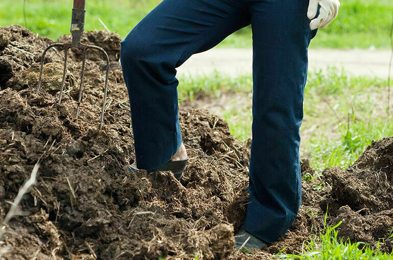 Ущербный навоз: за вред экологии или людям аграриев хотят наказывать жестче