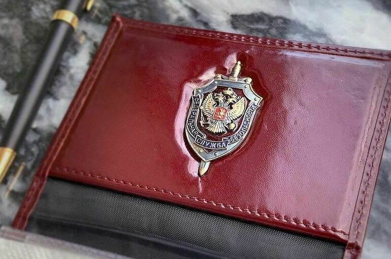 ФСБ задержала украинского агента — поджигателя подстанции в Туле