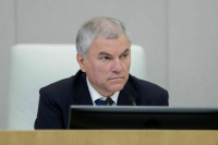 Володин: России нечего делать в ПА ОБСЕ, пока там не образумятся