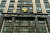 IT-комитет Госдумы единогласно поддержал запрет треш-стримов