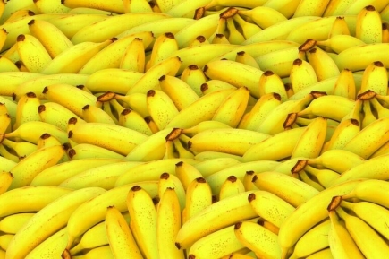 Делегация Эквадора приедет в Москву из-за ситуации с бананами