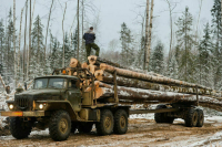 Комитет Госдумы одобрил штрафы за неправильную перевозку древесины