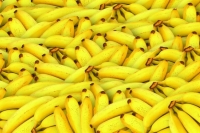 Эквадор возобновил сертификацию поставляемых в РФ бананов