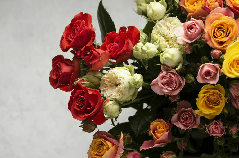 Расцветают цены: на сколько подорожают розы к 8 Марта