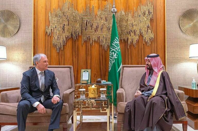 Володин встретился с наследным принцем Саудовской Аравии