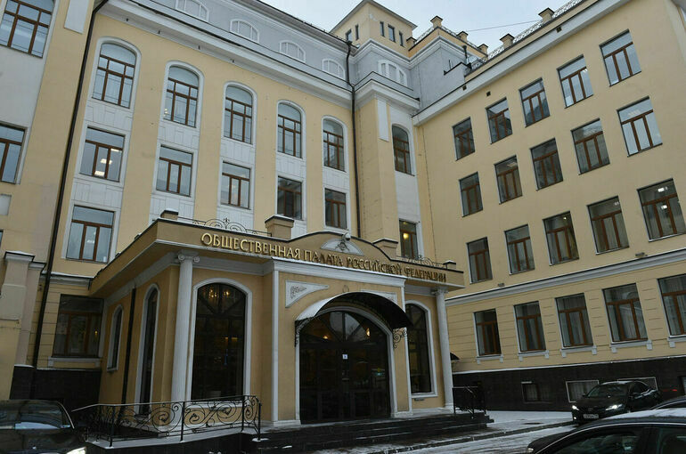 В Общественной Палате будут следить за выборами президента в режиме стрима