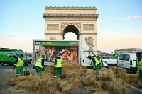 В Париже задержали более 60 участников акции протеста у Триумфальной арки