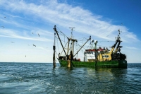Англичане не смогут больше ловить рыбу в Баренцевом море