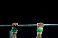 Российские гимнасты не смогли отобраться на Олимпиаду в Париже