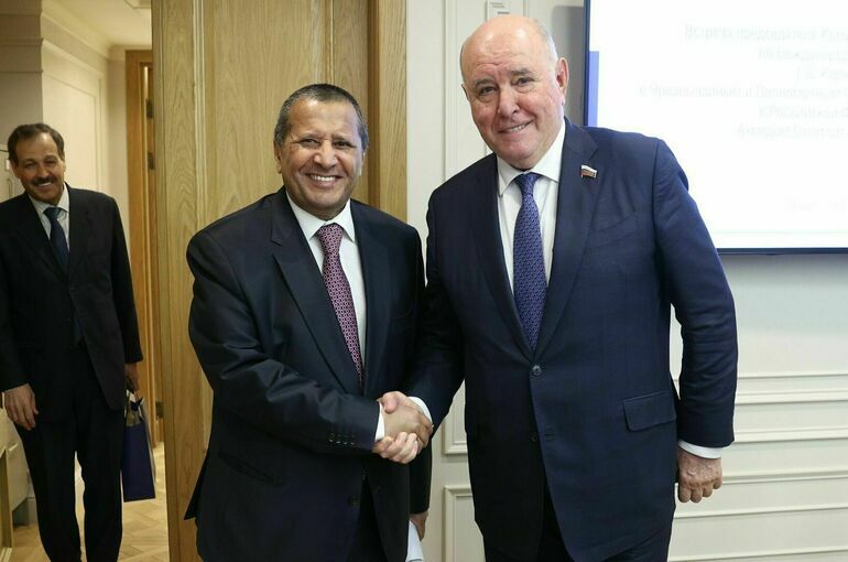 Карасин обсудил с послом Йемена сотрудничество в медицине и экономике